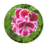 pink and white flower fridge magnet