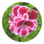 pink and white flower round sticker