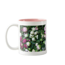 Pink and White Peony Bud Mug