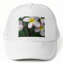 Pink and White Plumeria Hat