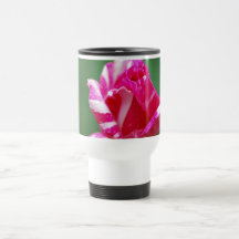 Pink and white striped rose coffee mug