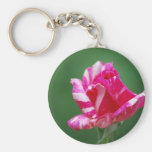 Pink and white striped rose key chains