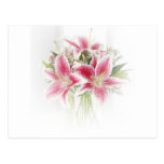 pink and white tiger lilies postcard