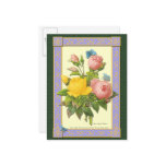 Pink and Yellow Botanical Roses Blank Postcard