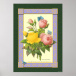 Pink and Yellow Botanical Roses Poster posters