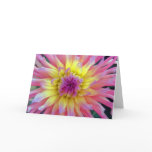 Pink and Yellow Dahlia Cards