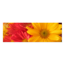 Pink and Yellow Daisies bookmark