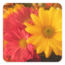 Pink and Yellow Daisies