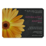 Pink and Yellow Gerber Daisy Wedding Announcement
