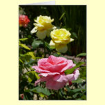 Pink and Yellow Roses cards
