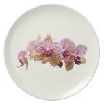 Pink and Yellow Striped Orchids Plate