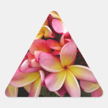 Pink and Yellow Tropical Plumeria Flowers Sticker