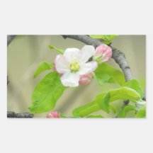 Pink Apple Blossom Sticker