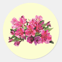 Pink Asiatic Lilies Stickers