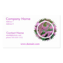 Pink Astilbe Flower Business Card