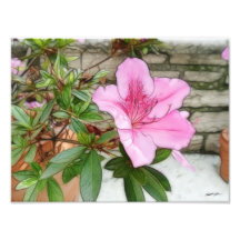 Pink Azaleas 1 Enhanced Photo Art