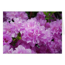 Pink Azaleas Note Card