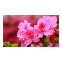 Pink Azaleas - Pocket calendar