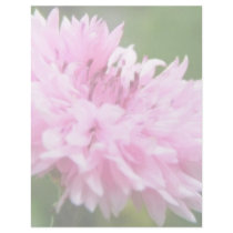 Pink Bachelor Button Letterhead Template