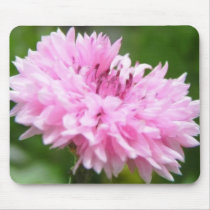 Pink Bachelor Button Mouse Pad
