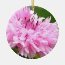 Pink Bachelor Button Ornament