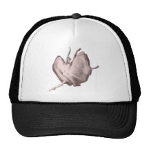 Pink Ballerina Hat