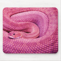 Pink Basilisk Rattlesnake mousepads