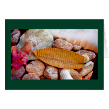 _Pink Beach Greeting Cards