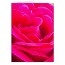 Pink Beauty Card