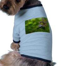 Pink Beauty Dog Clothing