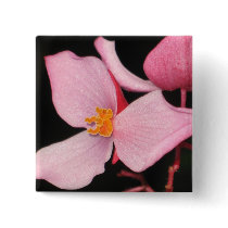 Pink Begonia Button