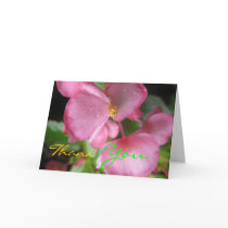Pink Begonia Greeting Card