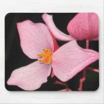 Pink Begonia Mousepad