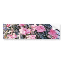 Pink Begonia Tuberosa (Tuberous-Rooted Begonia) fl Bumper Stickers