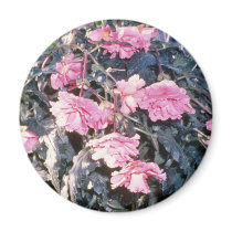 Pink Begonia Tuberosa (Tuberous-Rooted Begonia) fl Magnet