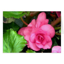 Pink Begonia Watercolor Card