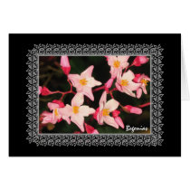 Pink Begonias Card
