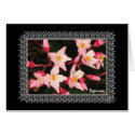 Pink Begonias Card