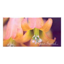 Pink Bells, Your Invited... Customized Photo Card