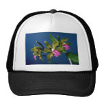 Pink Bicolor (Cattleya) flowers Mesh Hats