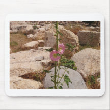 Pink Bindweed Mouse Pad