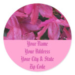 Pink Blooms stickers
