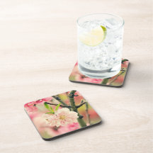Pink Blossom Coasters