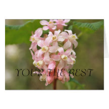 Pink Blossom Your the Best Card