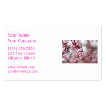 Pink Blossoms in Spring Photo Business Cards