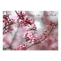 Pink Blossoms in Spring Photo Personalized Invitation