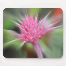 Pink Bromeliad Mouse Pad