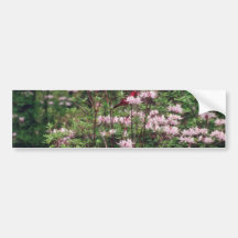 Pink Brookgreen Gardens flowers Bumper Stickers