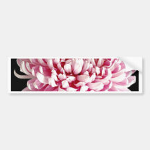 Pink Bumper Sticker