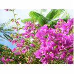 Pink Bush Flowers Photo Cut Out